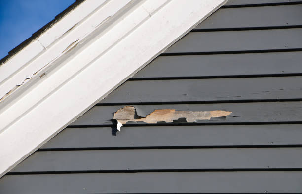 Best Construction Debris Removal  in Ridgebury, CT